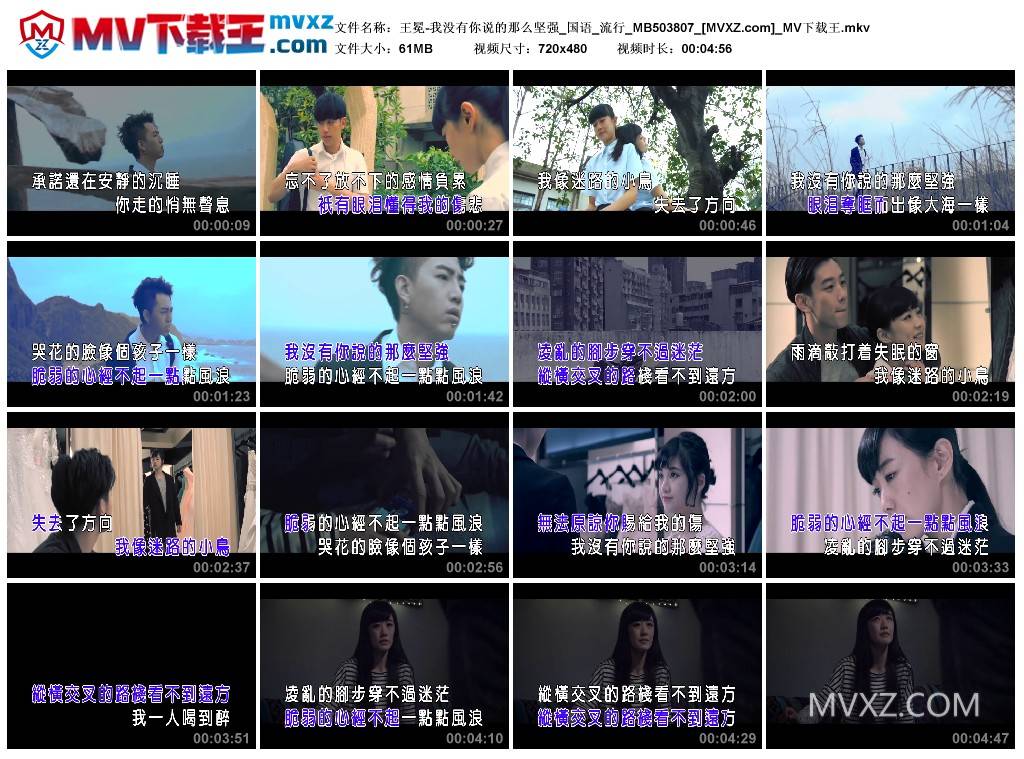 王冕-我没有你说的那么坚强_国语_流行_MB503807